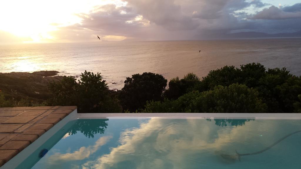 La Petite Baleine Oceanfront Luxury Villa De Kelders Exteriér fotografie